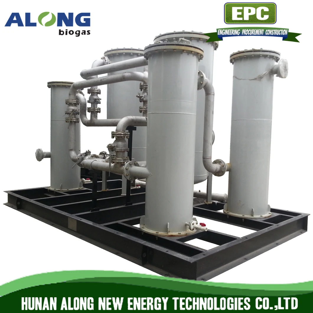 300m3/H Biogas Desulfurization System Purify Pre-Treatment Equipment