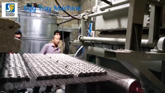 鶏卵生産機械設備を再生紙で覆う